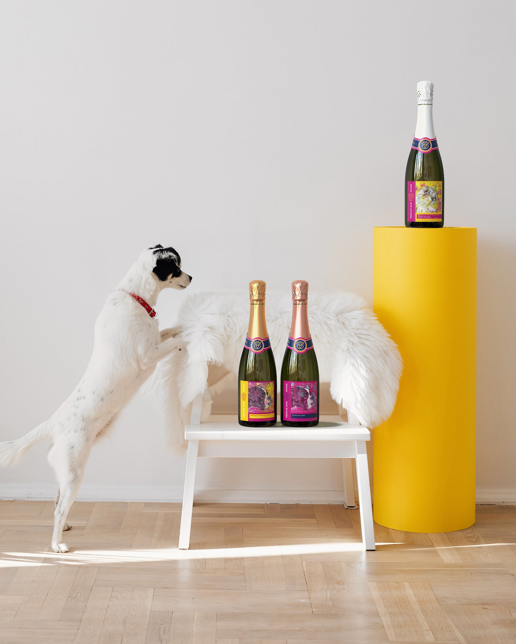 Wine Delivery Club | Rescue Dog Wines