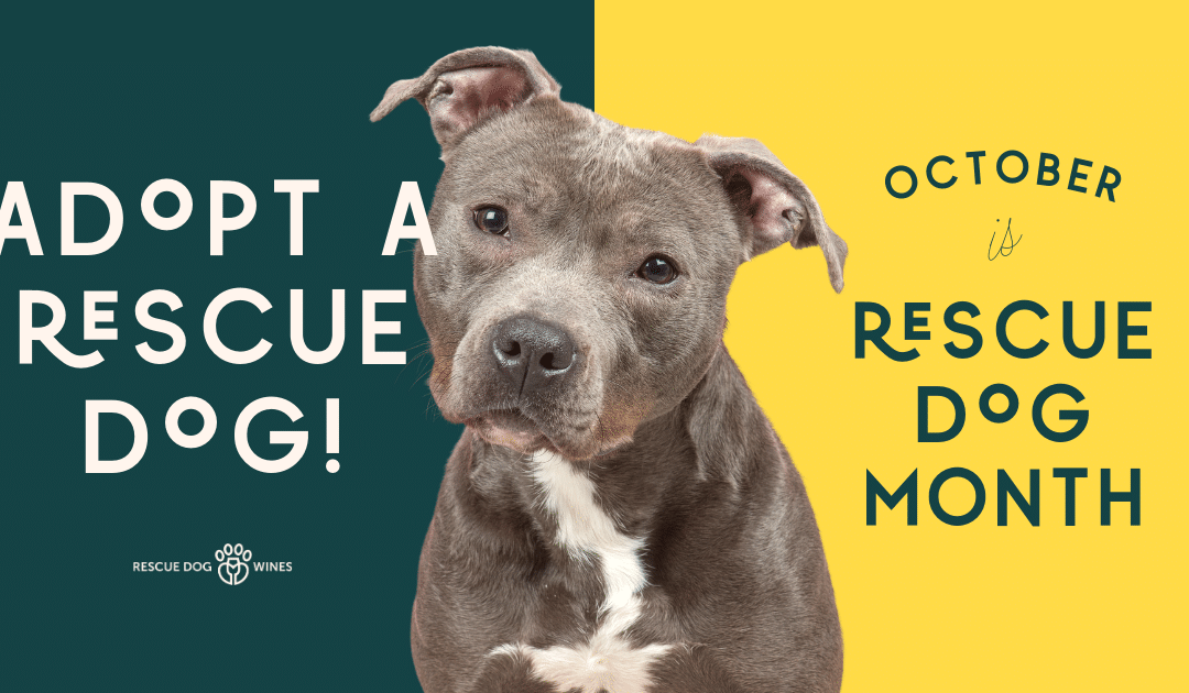 October Is Rescue Dog Month