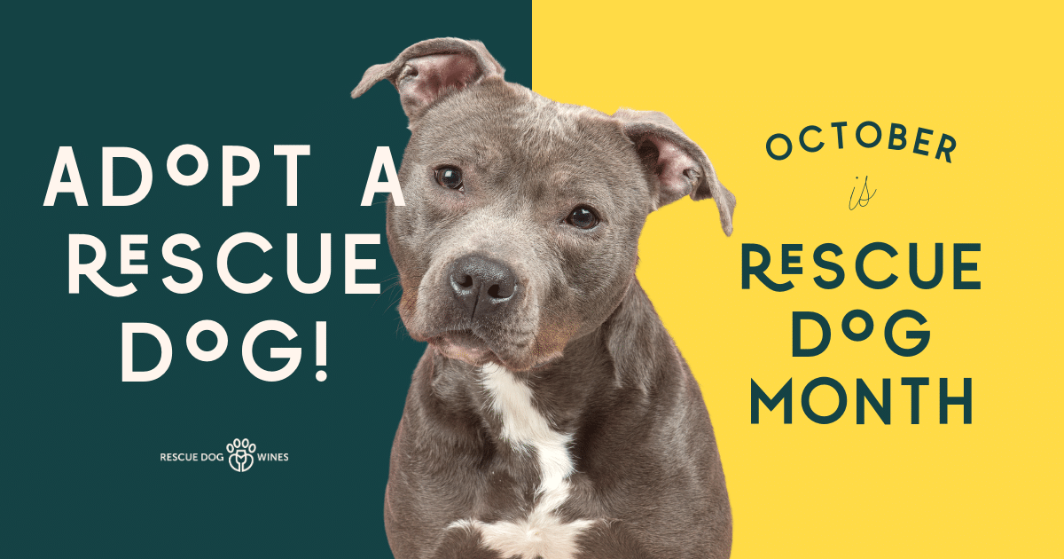 October Is Rescue Dog Month | Rescue Dog Wines