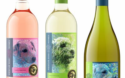 New Wine Releases Just in Time for Summer